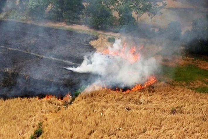 Titik Panas Sempat Menggila di Riau Tapi Berangsur Turun, 'Pelalawan dan Inhil Masih Level Confidence Tinggi'