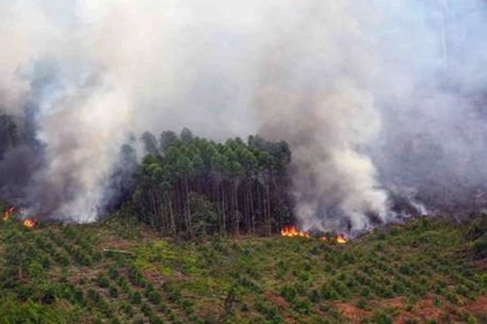 Titik Panas di Riau Makin Bertambah, BNPB Kerahkan Helikopter Water Bombing