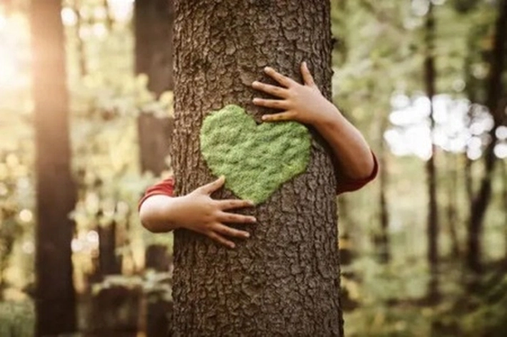 7 Agustus Peringatan Hari Hutan Indonesia yang Kini Hanya Jadi Ratapan untuk 'Jaga Hutan, Jaga Iklim'