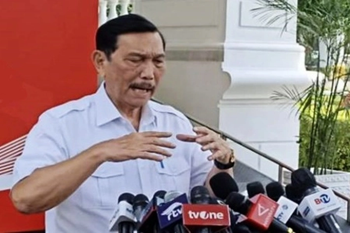 Menko Marves Luhut Binsar Pandjaitan Sebut Banyak Perusahaan Sawit Belum Miliki NPWP