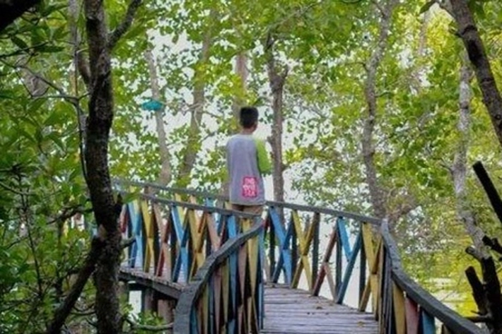 Ekowisata Mangrove Bengkalis Diresmikan yang Tawarkan Keindahan Alam