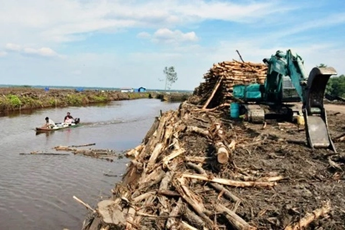 Tiga Aktivis Lingkungan Lihat Ada Indikasi PT RAPP Lakukan Pembangkangan atas Regulasi Demi Profit, 'Jadi Ancaman Kehancuran Ekologis di Riau'