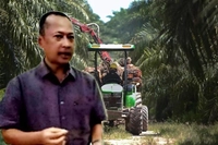 Sejarah Panjang Kelapa Sawit yang Naik Turun di Riau, Humas/CDO Hadi Sukoco: 'Sekarang Sudah Jadi Primadona'