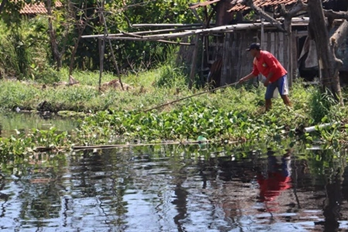 Curah Hujan Meningkat, BPBD Riau Minta Kabupaten/Kota Perkuat Persiapan Antisipasi Banjir