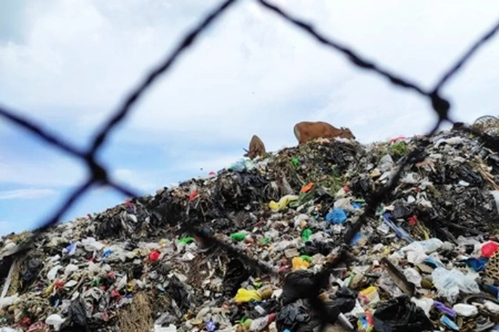 DLHK Masih Gunakan Swasta untuk Pengelolaan Sampah di Pekanbaru 