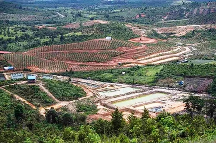 Alih Fungsi Hutan Taman Buru Rempang Diselidiki, Relawan Prabowo Gibran: 'Sudah Jadi Permukiman, Kolam Ikan dan Ladang Milik Warga'
