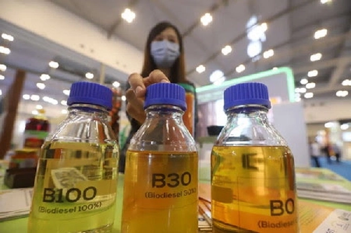 Pemerintah Siap Implementasi Program Biodiesel Campuran 40 Persen