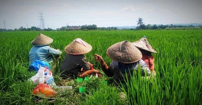 Reformasi Pertanahan Dilakukan, Mengapa Masih Timbul Konflik?