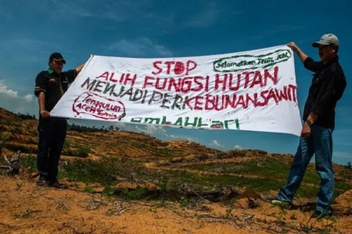 Kampanye Anti Penanaman Kelapa Sawit Terus Mencuat dan Dikhawatirkan, Pegiat Lingkungan: 'Bisa Perluas Deforestasi dan Konflik Agraria'