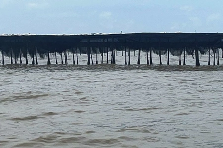 Pagar Laut 'Misterius' Menyegel Barisan Bambu tak Bertuan Sepanjang Lebih dari 30 Kilometer di Perairan Tangerang