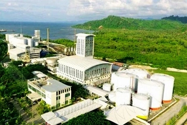 PT Astra Agro Lestari Catat Kenaikan Laba Bersih dari Crude Palm Oil Rp1,14 Triliun di 2024