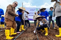 Program Kemitraan Agroforestri untuk Tingkatkan Ketahanan Pangan dan Ekonomi Masyarakat
