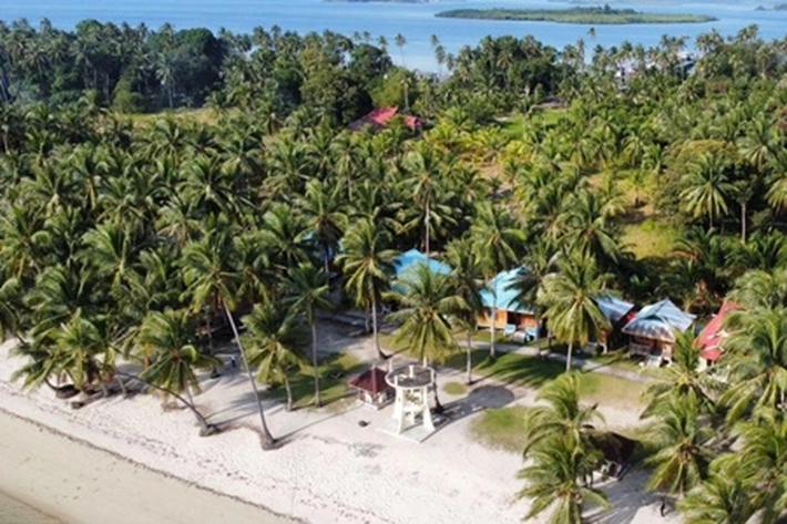 Nasib Pulau Kecil Kala Sawit Datang Flora dan Fauna Terancam, Aktivis SALAMBA: 'Ruang Hidup di Tanah Bunda Melayu Bisa Terhimpit Menyesakkan'