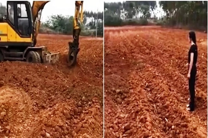 Pria Ini Hendak Ziarah Makam Leluhur Tapi Kuburannya Sudah Lenyap Jadi Ladang Tebu