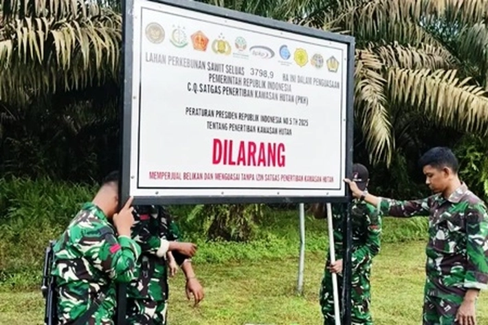 Satgas PKH 'Rampas' Kebun Sawit yang Sudah Capai 1 Juta Ha, 'Luasan 5 Ha Milik Rakyat Juga Turut Disita'