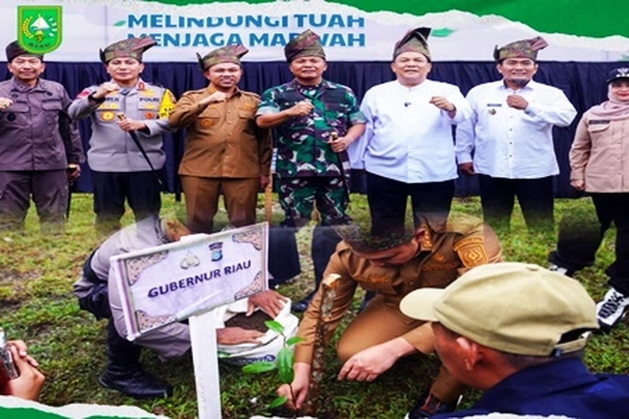 Gubernur Abdul Wahid Tanam Pohon Demi untuk Jaga Kelestarian Lingkungan dan Hijaukan Bumi Lancang Kuning