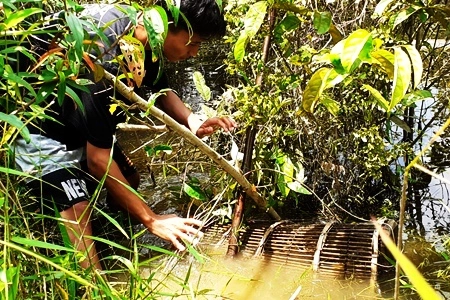 Investigasi Terungkap PT IP Timbulkan Konflik dengan Suku Pedalaman, Praktisi Hukum: 'HGU nya Perlu Diukur Agar Perluasan Sawit dapat Dihambat'