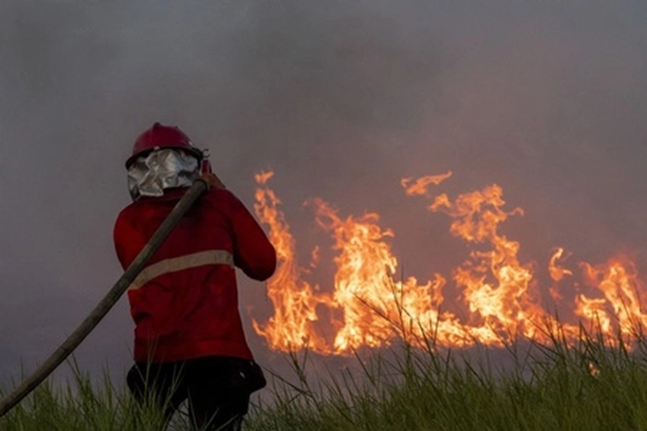 BPBD Riau Catat Luas Lahan Terbakar 78 Hektare Hingga Pertengahan April Ini