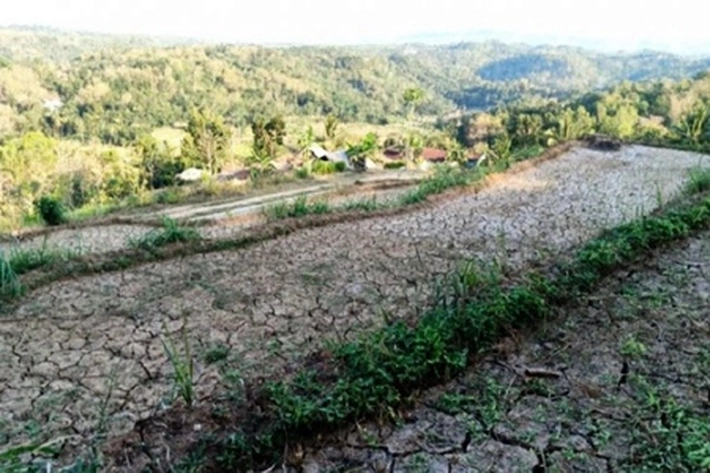 BMKG Imbau Waspada Musim Kemarau di Riau yang Sudah di Depan Mata, 'yang Buat Peningkatkan Status Karhutla Diterapkan'