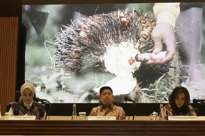 Astra Agro Lestari Lakukan Program Replanting Sawit dengan Target 8.000 Hektare per Tahun