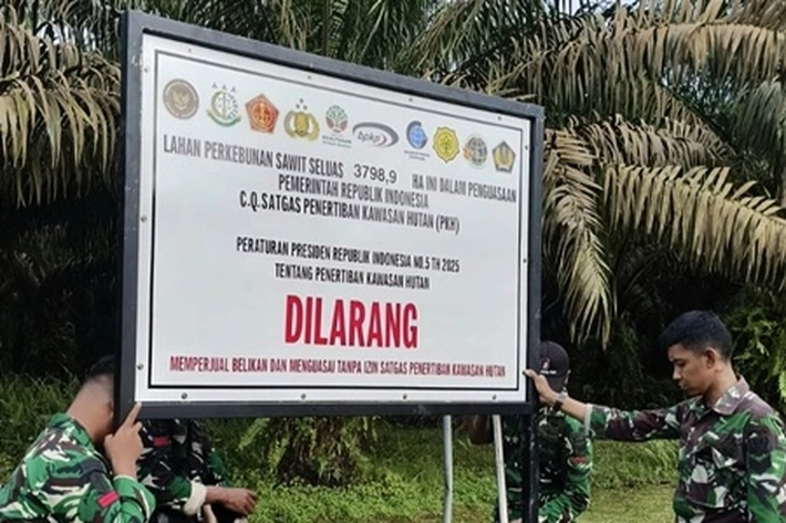 SALAMBA Soroti Kebun Sawit Disita Satgas PKH 'Tanpa Proses Pengadilan'