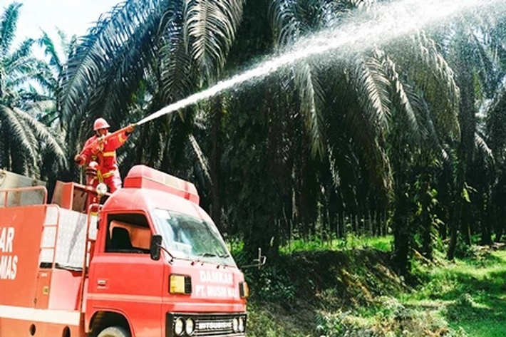 PT Musim Mas Siap Tangani Karhutla yang Bisa Timbulkan Masalah Kerusakan Lingkungan dan Keanekaragaman Hayati