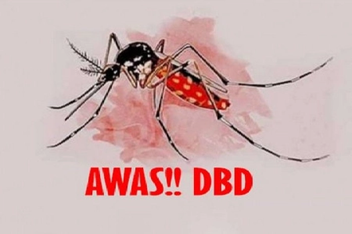 Demam Berdarah Dengue Sepanjang Januari-April 2025 di Riau Tembus 1.471 Kasus