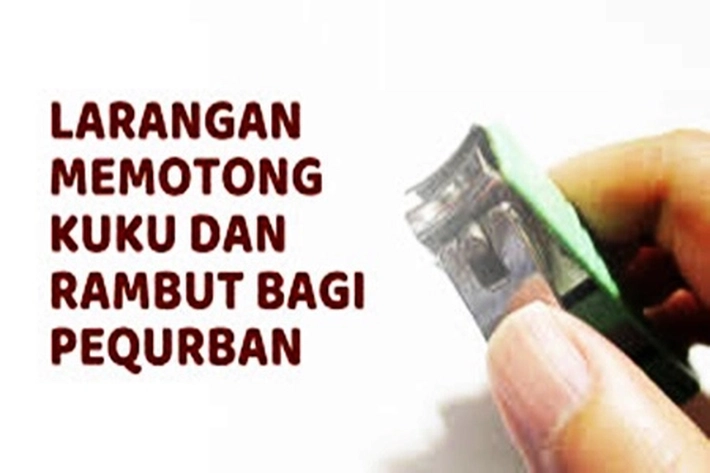 Jelang Iduladha Bagi Pequrban Dilarangan Potong Rambut dan Kuku