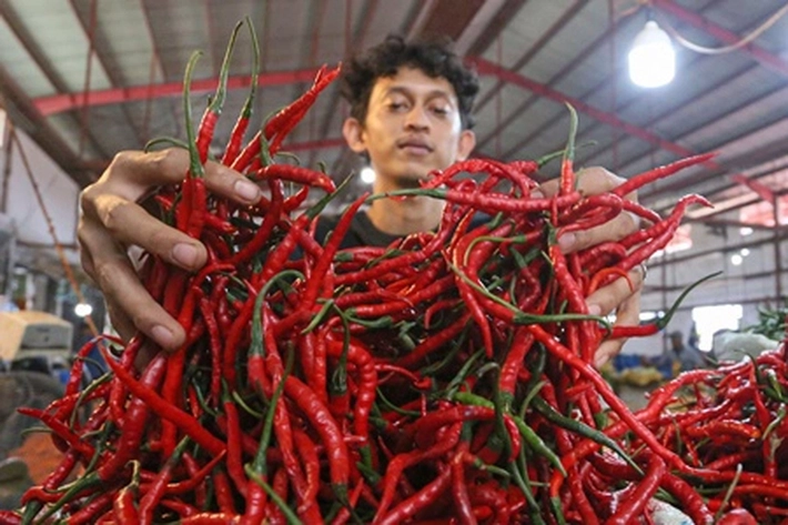 Harga Cabai Merah Turun Bisa Jadi Berpeluang Cetak Deflasi