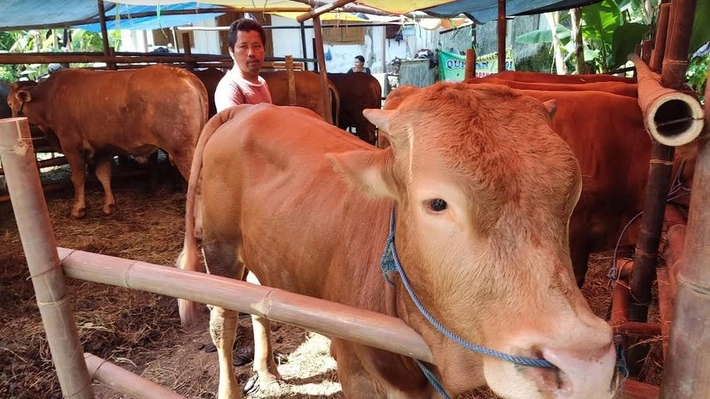 Tiap Tahun, PT TPP Konsisten Berikan Hewan Qurban Untuk Desa Penyangga