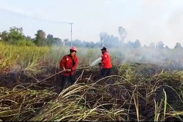 4 Hektare Lahan Terbakar di Pangkalan Kerinci Pelalawan Berhasil Dipadamkan Oleh Tim Gabungan