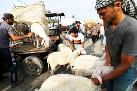 Qurban Bukan Sekadar Ibadah, Tapi Wujud Kepedulian Sosial yang Berkelanjutan