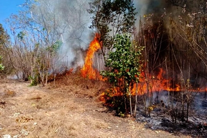 BPBD Nilai Kebakaran Lahan di Riau Masih Jadi Ancaman Serius