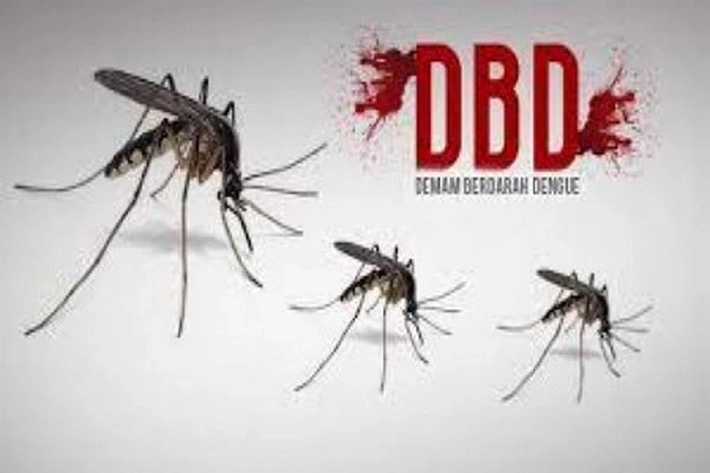 Kasus DBD di Riau Meningkat, Warga Tingkatkan Kewaspadaan