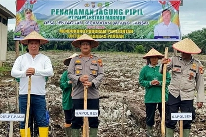 Polsek Batang Gansal Berkolaborasi dengan PT IP Tanam Jagung Pipil untuk Dukung Ketahanan Pangan 