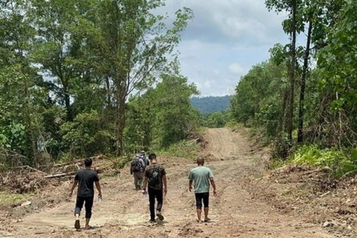 Kades di Inhu Nekat Jual Kawasan Hutan Demi Untung Miliaran, 'Divonis Bersalah, Malah Ajukan Kasasi'