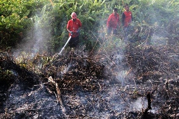 Cuaca Ekstrem Mulai Menyengat Hingga Diprediksi 35 Derajat Celsius, BMKG: 'Jadi Berpotensi Makin Meluasnya Karhutla'