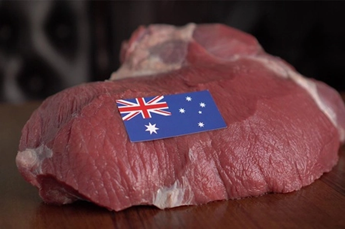 Sapi Impor Australia Tak Bisa Dipotong Sembarangan, 'karena Harus Memakai Standar Animal Welfare'