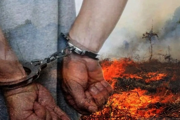 Polisi Tangkap 3 Pembakar Hutan di Rohul yang Diduga untuk Perluasan Kebun Sawit