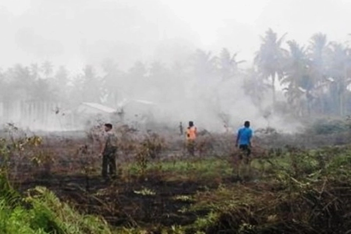 Titik Hotspot Riau Menghilang karena Diguyur Hujan Deras, Kata BMKG