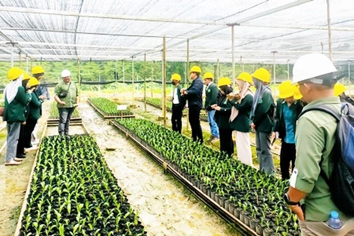 Astra Agro Lestari Buat Langkah Penting dalam Pengembangan Komoditas Kelapa Sawit