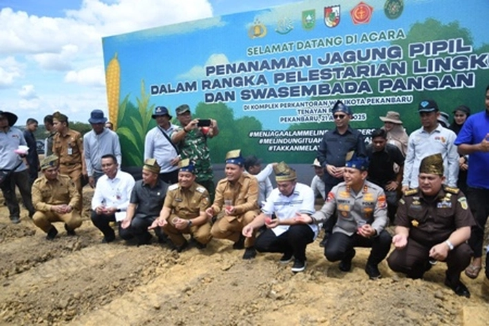 Pemprov Riau Jalankan Strategis untuk Tingkatkan Ketahanan Pangan dengan Genjot Produksi Padi dan Jagung
