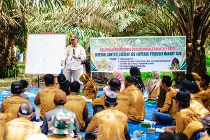 KUD Makarti Jaya Mitra PTPN IV PalmCo akan Peroleh Sertifikasi RSPO 