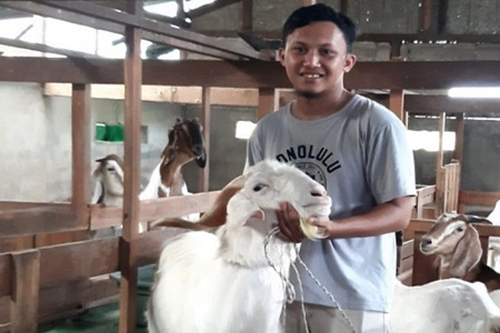 Cara Mengolah Daging Kambing Agar Tidak 'Bau Prengus', 'Tetapi Awas ada Ancaman Tersembunyi dalam Hidangannya'
