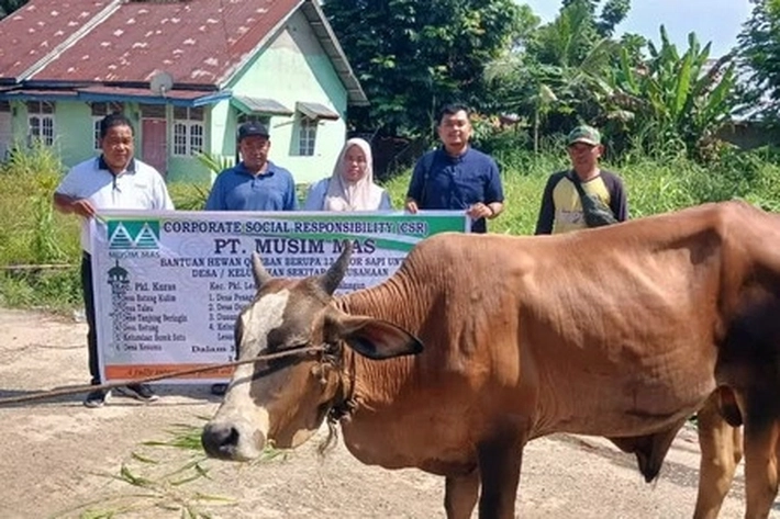 PT Musim Mas Salurkan Hewan Kurban Sapi dan Kambing ke Desa-desa untuk Berbagi Kebahagian di Idul Adha 1446 Hijriyah 