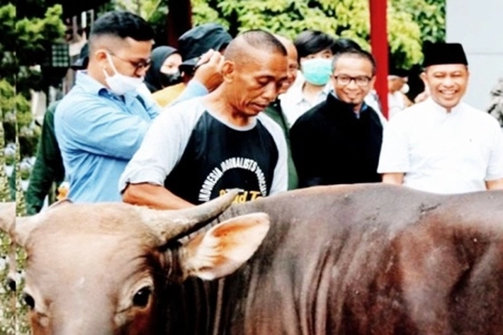 PWI Riau Sembelih 7 Hewan Kurban di Iduladha 1446 H