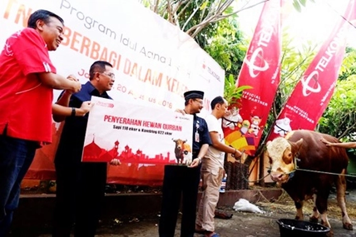 Telkomsel Salurkan Ratusan Hewan Kurban ke Lebih dari 600 Titik di Idul Adha 1446 H