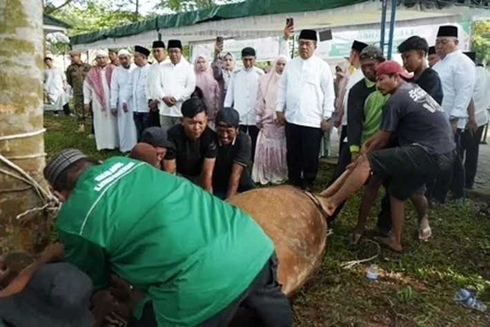 Bupati dan Wakil Bupati Asahan Saksikan Penyembelihan Hewan Kurban yang akan Disalurkan pada 7000 Warga