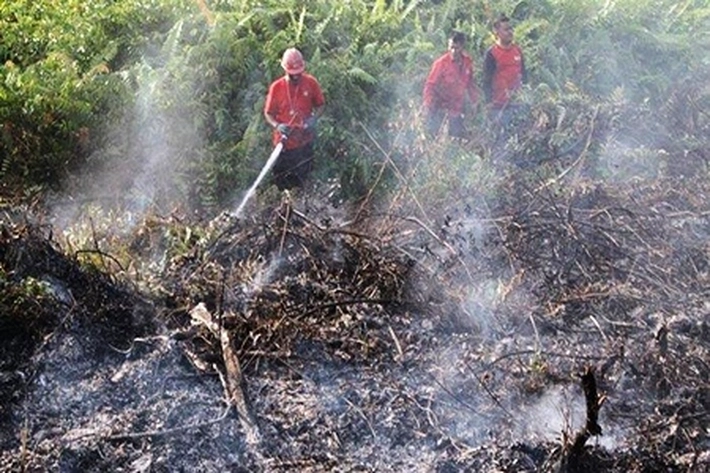 BMKG Deteksi Hotspot Paling Banyak di Sumatera, Riau Sumbang 4 Titik Panas