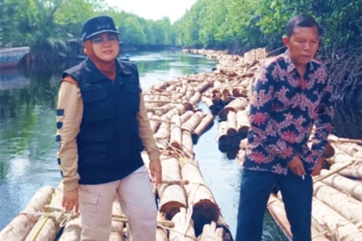 Bupati Afni Zulkifli Kaget Temukan Ribuan Kayu Gelondongan Ditengah Kawasan Rumah Alam Bakau Sungai Apit